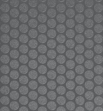 Small Coin Pattern Vinyl Garage Flooring Mat (5' x 10' / Slate Grey)