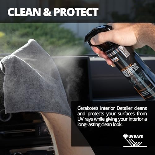Rapid Ceramic Interior Detailer and Protectant Spray (14 Fl Oz (Pack of 2))