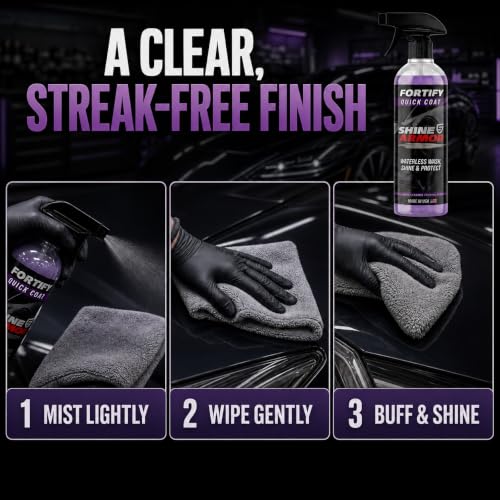 Ceramic Coating Spray (16 Fl Oz (Pack of 1))