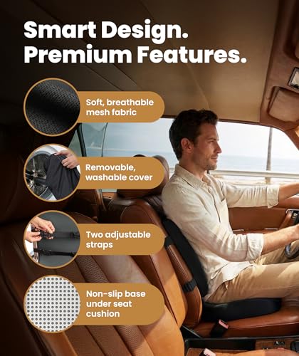 Doctor Recommended Memory Foam Seat Cushion for Office Chairs & Car (Black Airflow Lumbar / Large)