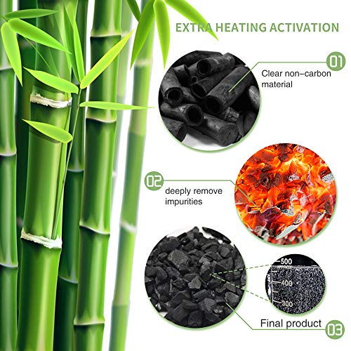 Bamboo Charcoal Air Purifying Bag (Essential 12 Pack)
