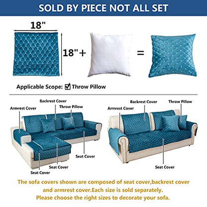 Throw Pillows (18''x18''/Pillow / Blue)