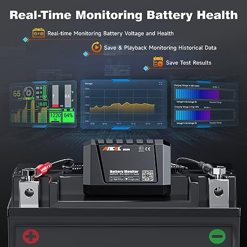 BM300 12V Battery Monitor (Black)