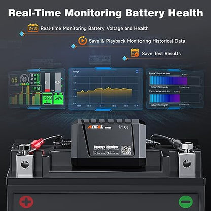 BM300 12V Battery Monitor (Black)