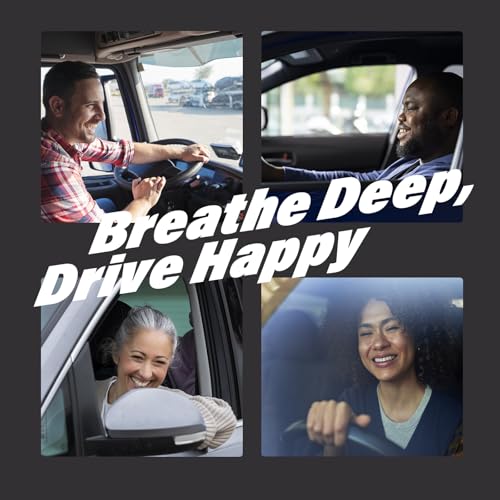 Car Air Freshener Vent Clips