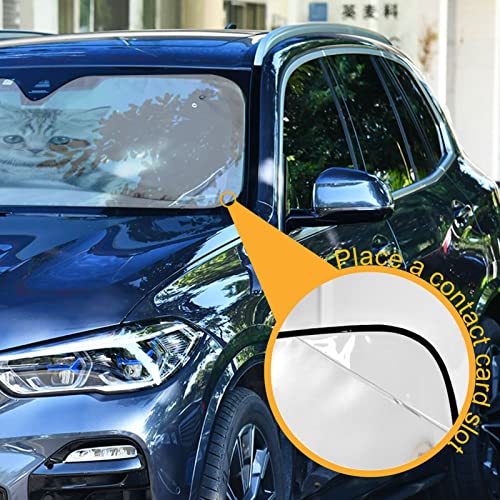 Car Windshield Sun Shade Funny Kitten Cat Foldable Car Front Windshield Sunshade Blocks UV Rays Sun Visor Sun Heat Protection for Car Truck SUV to Keep Your Vehicle Cool (Medium / Funny Kitten Cat)