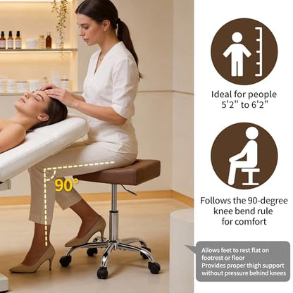 Hairstylist Stool with Wheels (Coffee Brown)