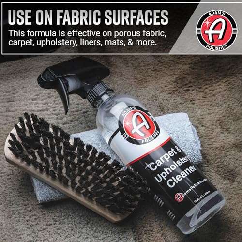 Carpet & Upholstery Cleaner (640 Fl Oz (Pack of 1))