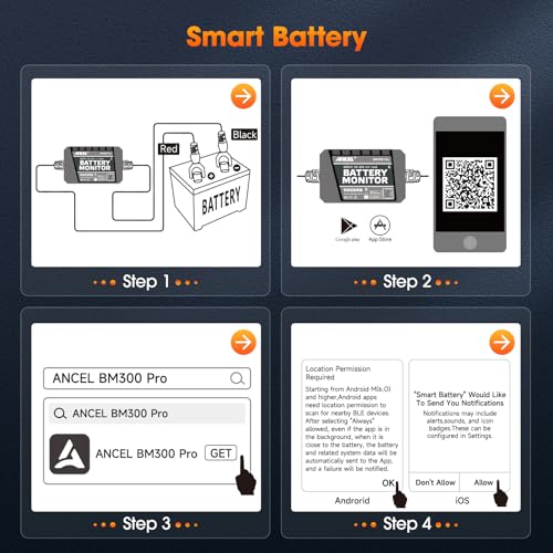 BM300 Pro Battery Monitor (Orange)