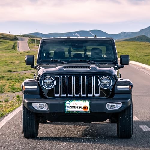 Funny Faux Abalone License Plate Frame Stainless Steel 6.3 X 12.2 Inch (Faux Abalone)