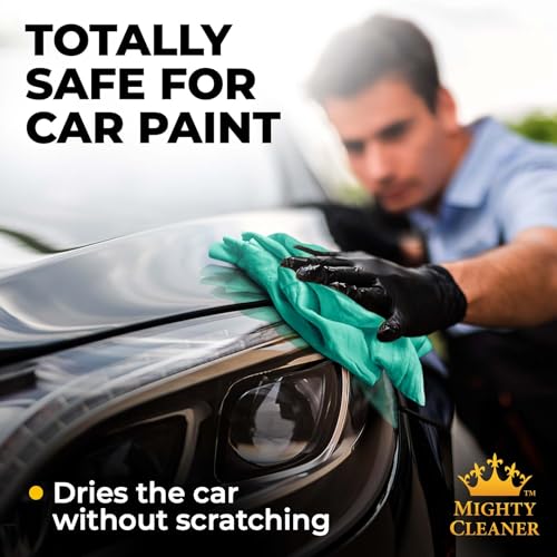 Shammy Cloth for Car Drying (Mint)