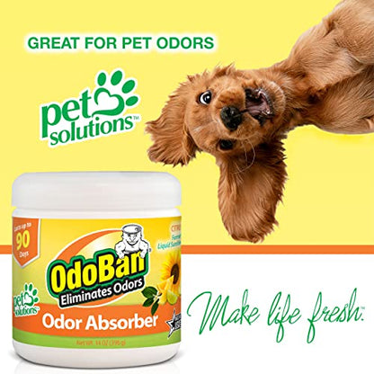 Solid Odor Absorber Eliminator for Home and Small Spaces (14 Ounce (Pack of 9))