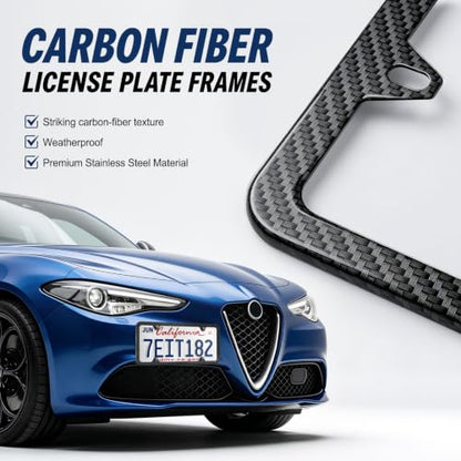 Carbon Fiber License Plate Frames (Carbon Fiber)
