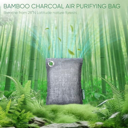 Activated Charcoal Odor Absorber (10 x 100g)