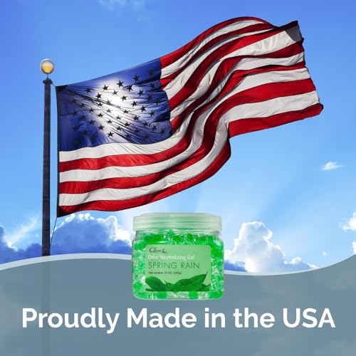 Odor Eliminator Gel (Spring Rain)
