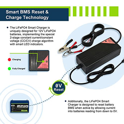 12.8V 5A Smart Charger for Lithium LiFePO4 Deep Cycle Rechargeable Batteries (5 Amp)