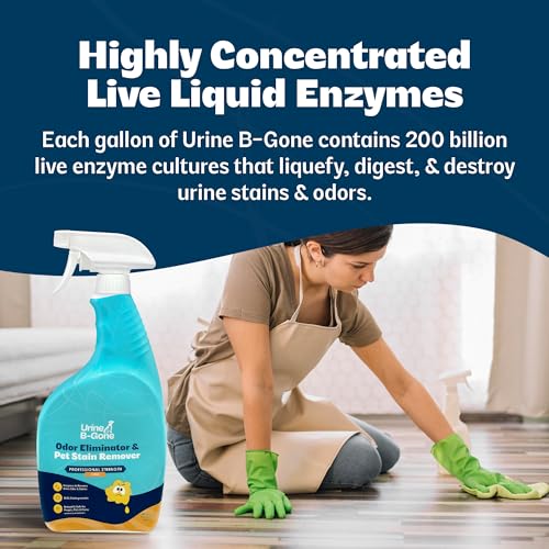 Urine B Gone Enzyme Cleaner for Human (32 Fl Oz (Pack of 1))