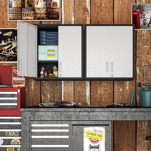 Wall Mounted Metal Storage Cabinet (Black & Gray / H30.31" - 2 Doors)