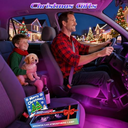 Car Interior Lights (1 Pack)