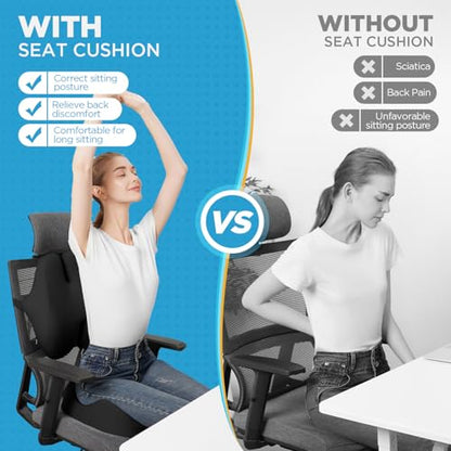Seat Cushion & Lumbar Support Pillow for Office Chair (Tq27_ls46-black)