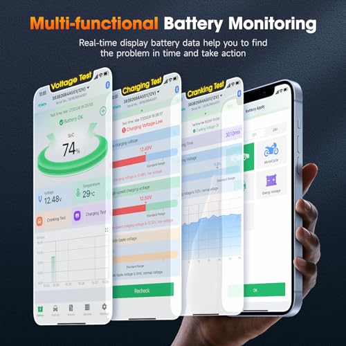 BM300 Pro Battery Monitor (Orange)