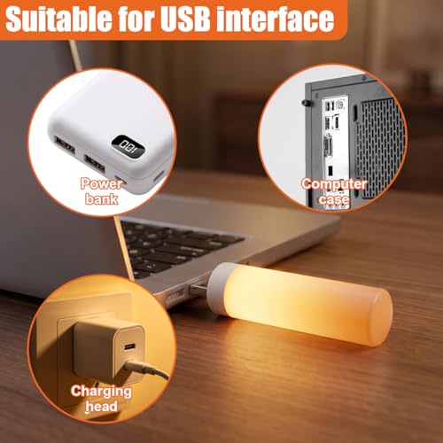 Flame Car USB LED Lights (1PC)