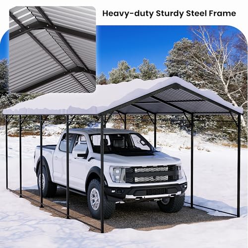 10x20 FT Metal Carport