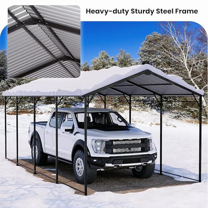 10x20 FT Metal Carport