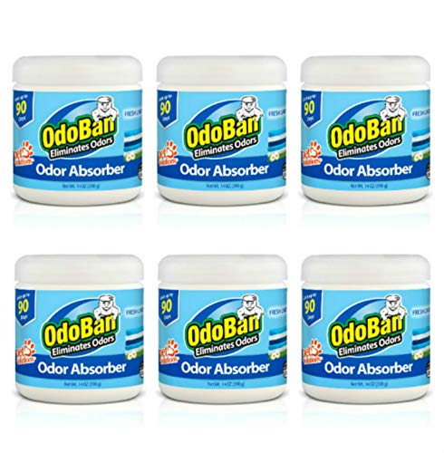 Solid Odor Absorber Eliminator for Home and Small Spaces (14 Ounce (Pack of 6))