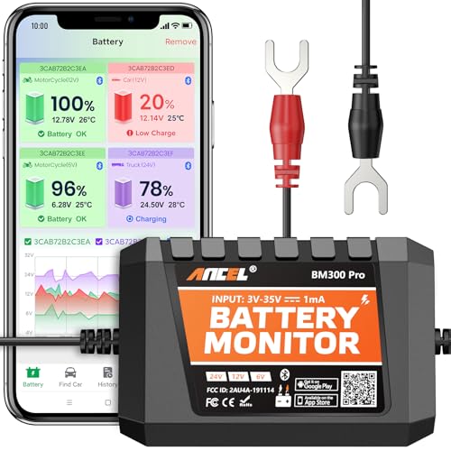 BM300 Pro Battery Monitor (Orange)