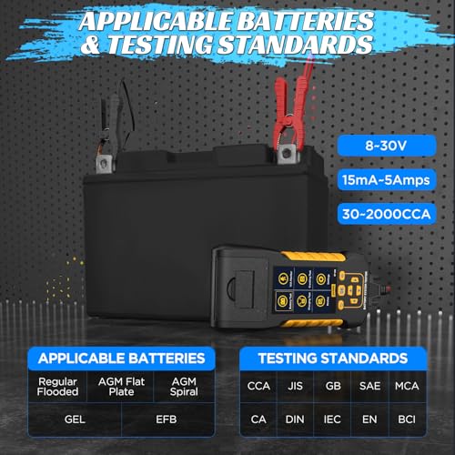 Car Battery Tester with Printer 12V 24V Load (BT880)