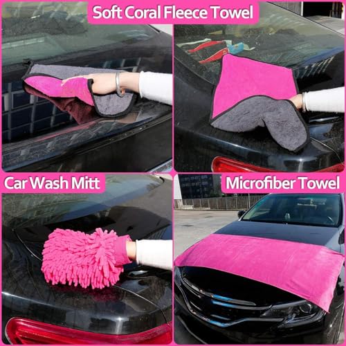 Car Detailing Kit (Pink)