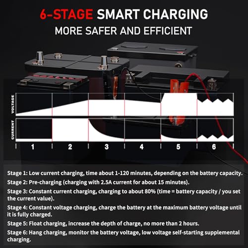 30A Smart Car Battery Charge (30A)