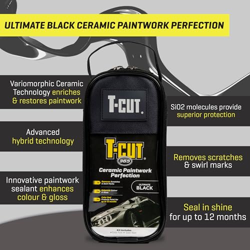 Paintwork Perfection Kit (Black)