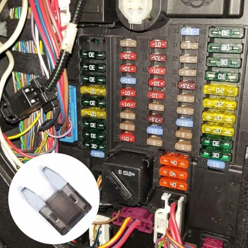100 Pack Auto Fuses 2 AMP APM (2 AMP)