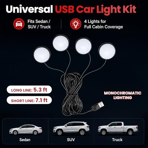 Car Interior LED Lights (White)
