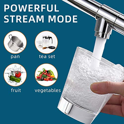 Chrome Kitchen Faucet with Sprayer (Chrome)