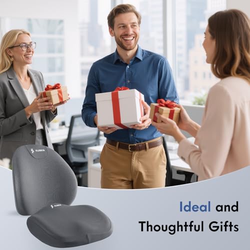 Seat Cushion and Lumbar Support Pillow for Office Chair Car (Gray / 2Pcs)