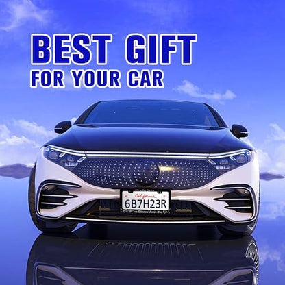 in This Car We are Gossiping About You License Plate Frame Stainless Steel (In This Car We Are Gossiping About You)