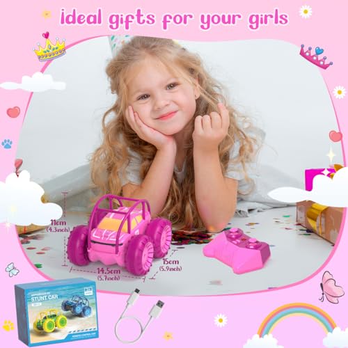Amphibious Remote Control Car (Pink)