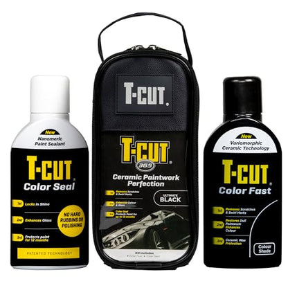 Paintwork Perfection Kit (Black)