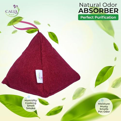 4 Pack Bamboo Charcoal Air Purifier Bags 200 Grams Each (Fall Colors)