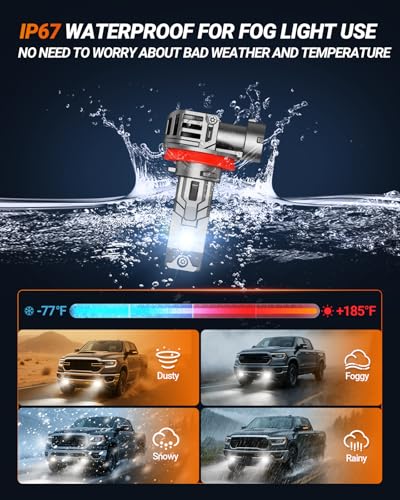 9005 HB3 H11 Fog Light Bulbs (9005+H11)