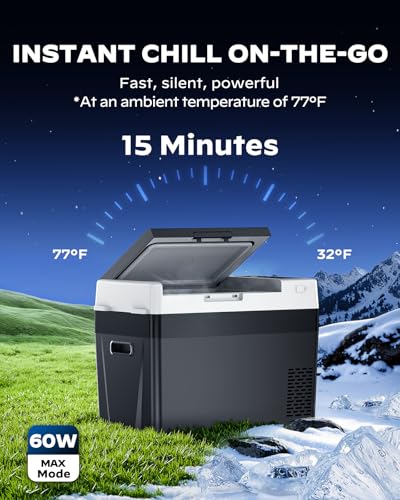 12 Volt Refrigerator 12V Car Fridge 32QT Portable Freezer Compressor Cooler (Black / 32QT)