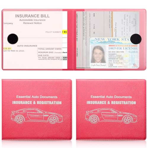 Car Registration and Insurance Card Holder (Mesh Texture Rose Red)