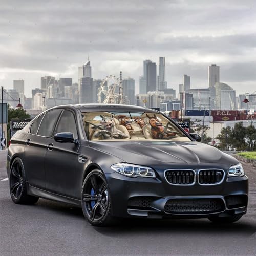 Funny Horse Car Windshield Sun Shade Umbrella Sunshade Block UV Rays Sun Visor Protector Auto Windshield Sunshade to Keep Vehicle Cool for Cars Trucks & Suvs 57 X 30 in (57'' X 30'' / 28-3-26-REY-3)
