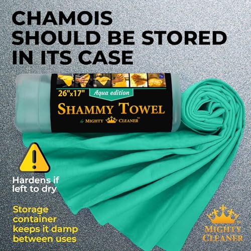 Shammy Cloth for Car Drying (Mint)