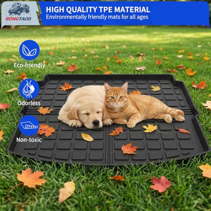 Cargo Mat & Backrest Mats for 2021