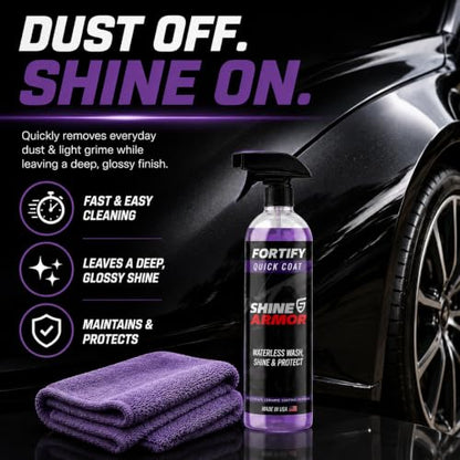Ceramic Coating Spray (16 Fl Oz (Pack of 1))