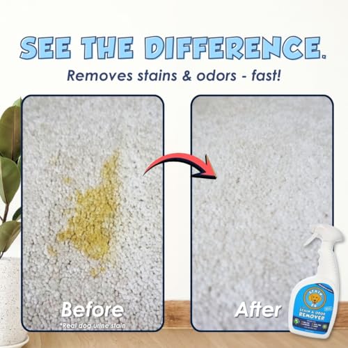 Pet Stain & Odor Remover (24 Fl Oz (Pack of 1))